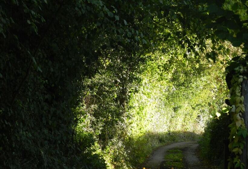호텔 Cosy Glamping 4m Bell Tent In Rural Herefordshire
