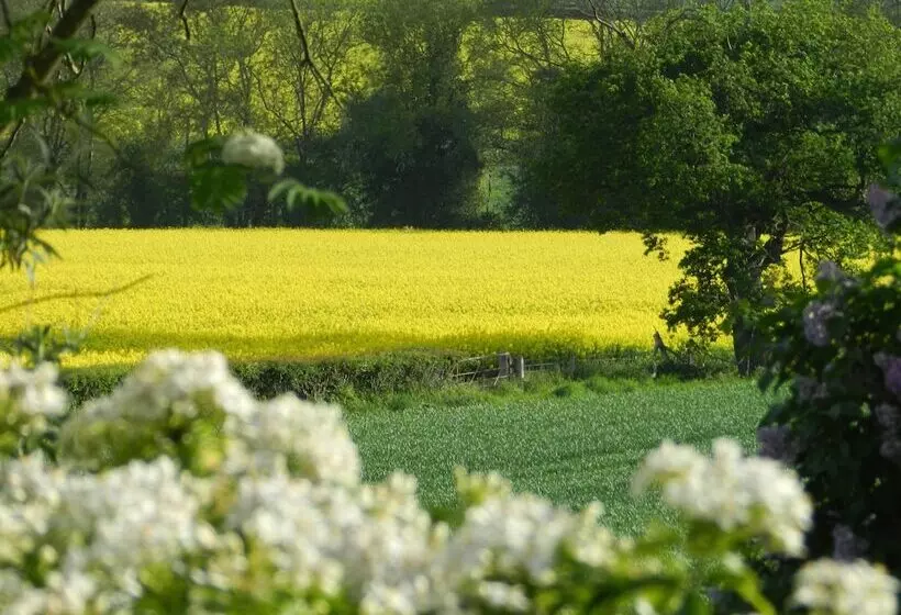 Hotelli Cosy Glamping 4m Bell Tent In Rural Herefordshire
