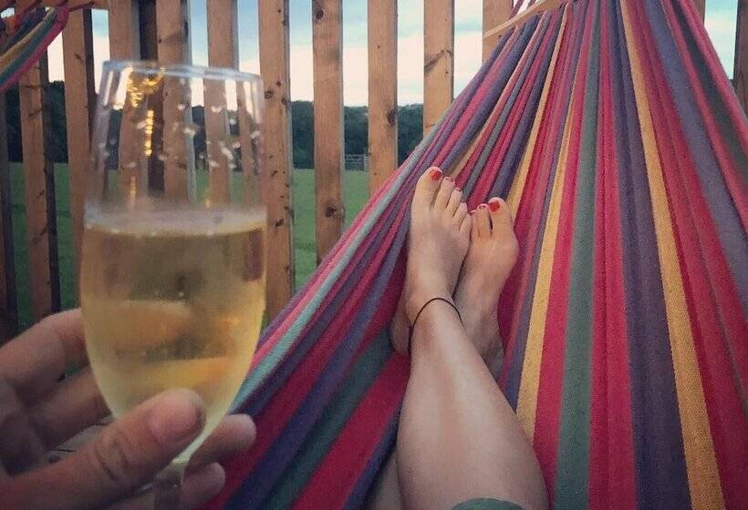 Luxury Safari Lodge Surrounded By Deer!! Roe