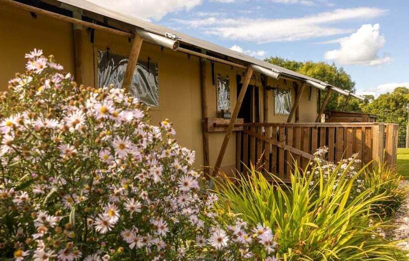 Luxury Safari Lodge Surrounded By Deer!! Roe