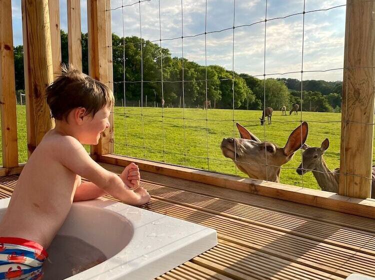 Luxury Safari Lodge Surrounded By Deer!! Roe