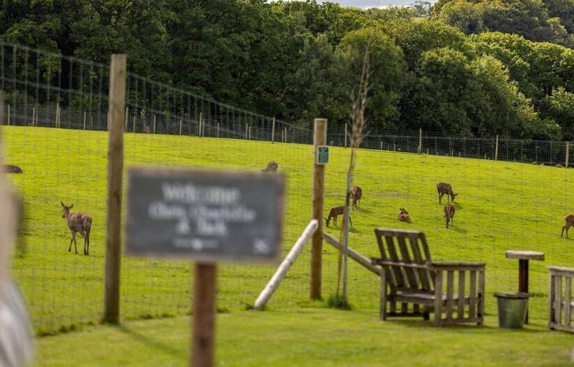 Luxury Safari Lodge Surrounded By Deer!! Roe