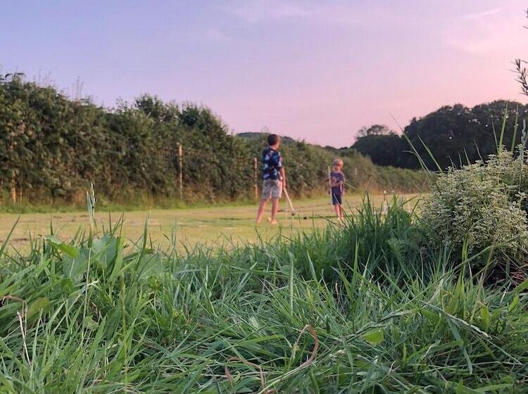 Luxury Safari Lodge Surrounded By Deer!! Roe