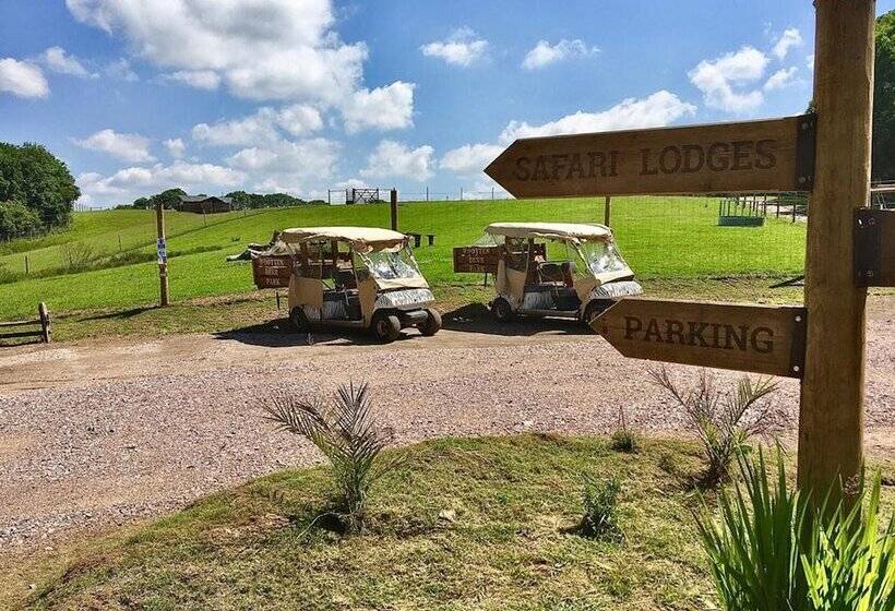 Luxury Safari Lodge Surrounded By Deer!! Roe