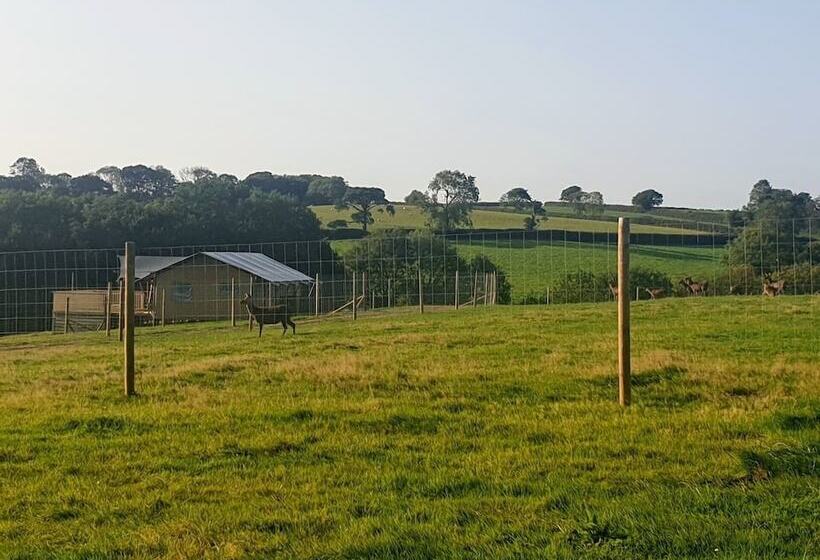 Luxury Safari Lodge Surrounded By Deer!! Roe