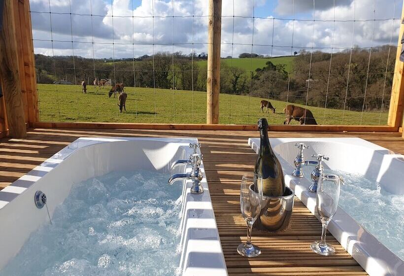 Luxury Safari Lodge Surrounded By Deer!! Roe