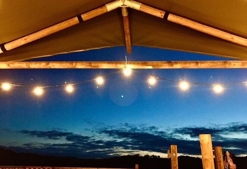 Luxury Safari Lodge Surrounded By Deer!! Roe