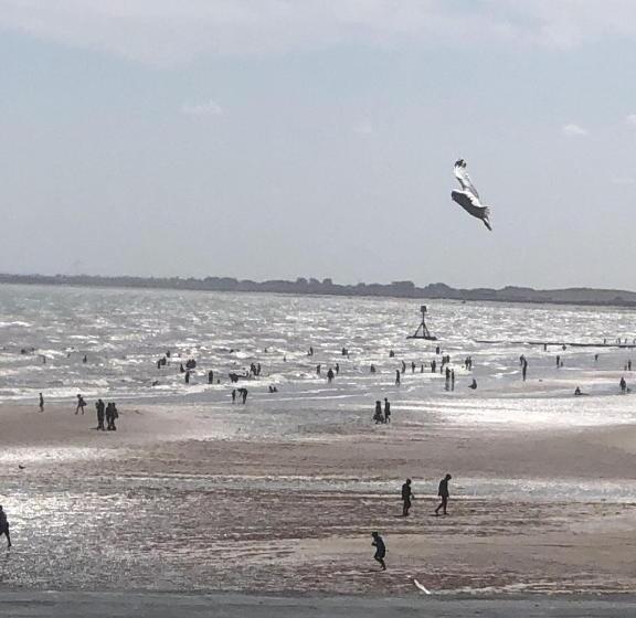 Bed and Breakfast Salt On The Harbour