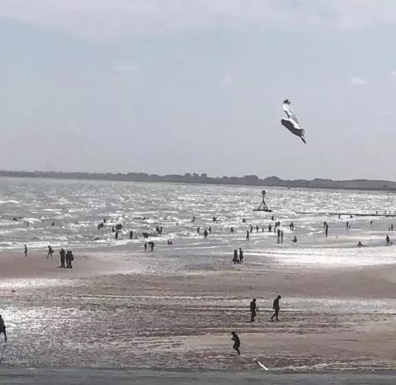 تختخواب و صبحانه Salt On The Harbour