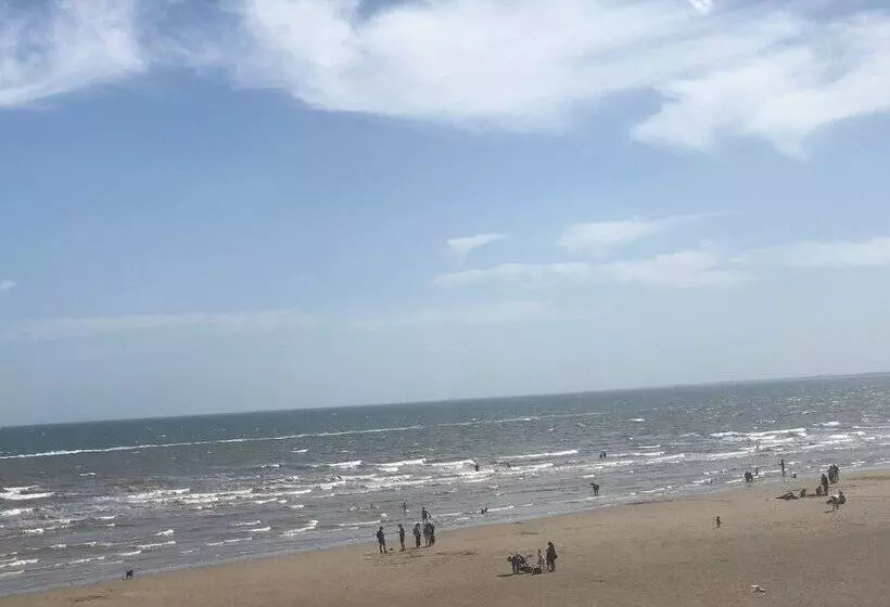 تختخواب و صبحانه Salt On The Harbour