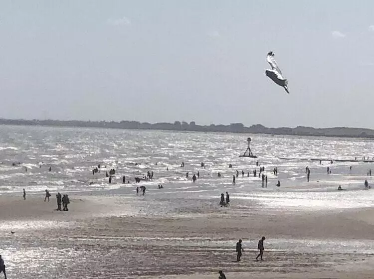 تختخواب و صبحانه Salt On The Harbour