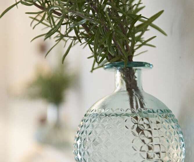 Bed and Breakfast Valentino S Restaurant With Rooms