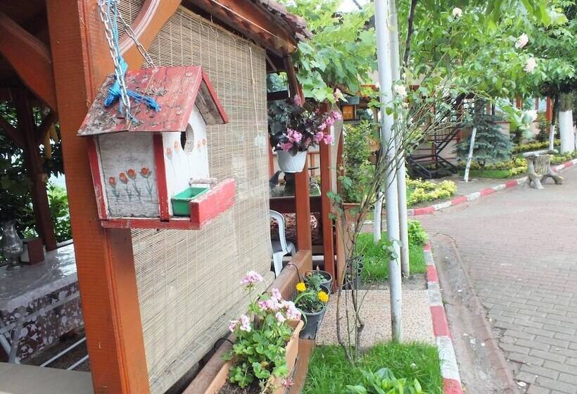 호텔 Eraslan Tatil Koyu