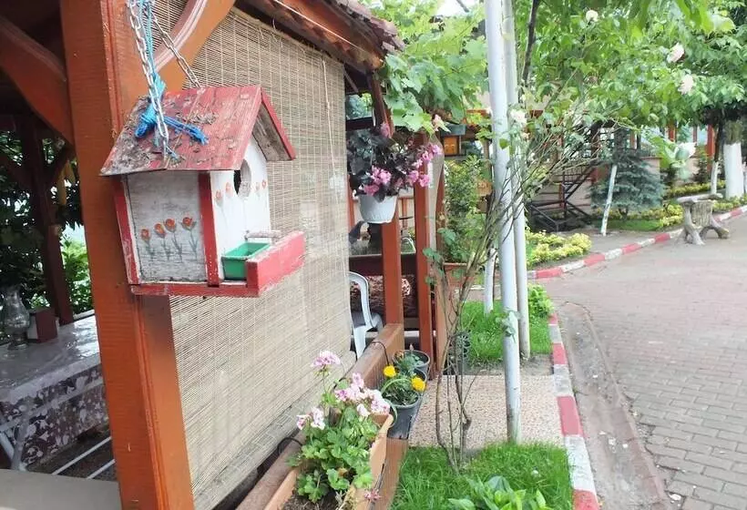 ホテル Eraslan Tatil Koyu