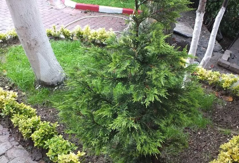 ホテル Eraslan Tatil Koyu