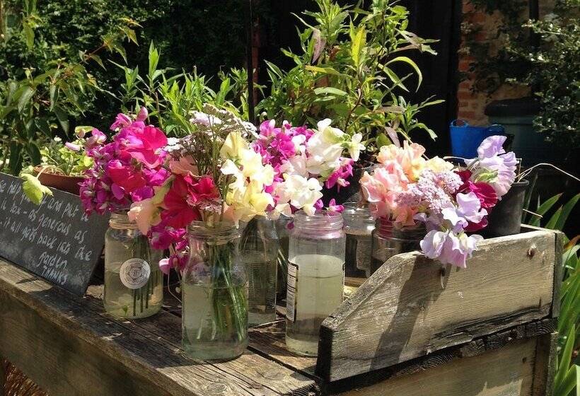 פנסיון St Ethelwolds House