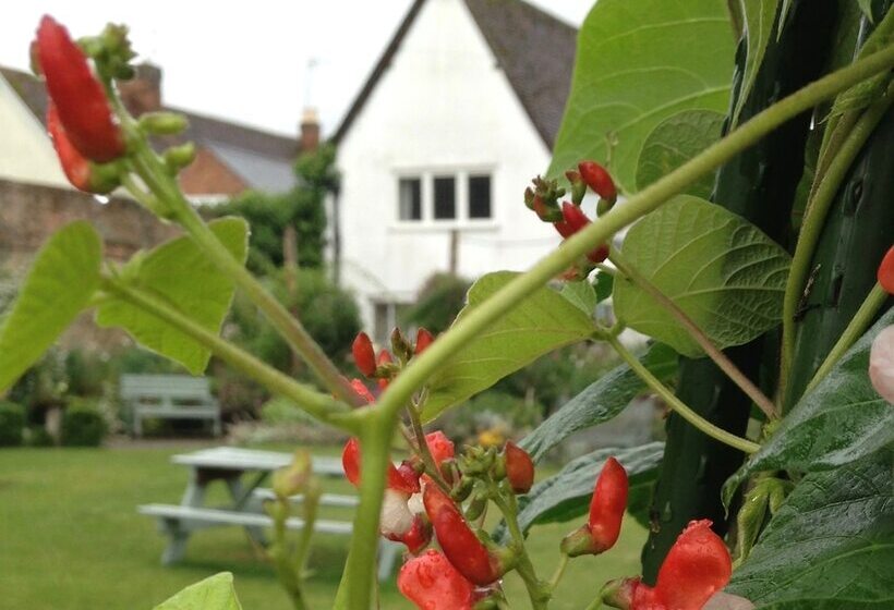 פנסיון St Ethelwolds House