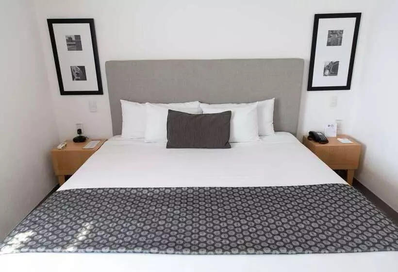 Best Western Plus Gran Hotel Centro Historico