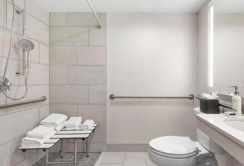 酒店 Holiday Inn Manhattan 6th Ave Chelsea, An Ihg