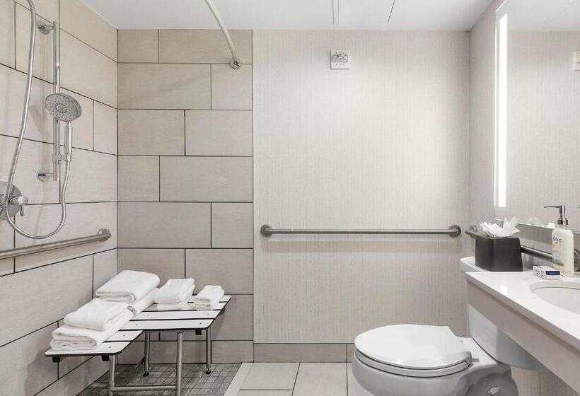 酒店 Holiday Inn Manhattan 6th Ave Chelsea, An Ihg