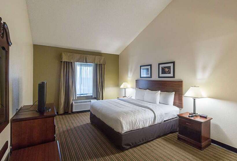 هتل Quality Inn & Suites West Chase