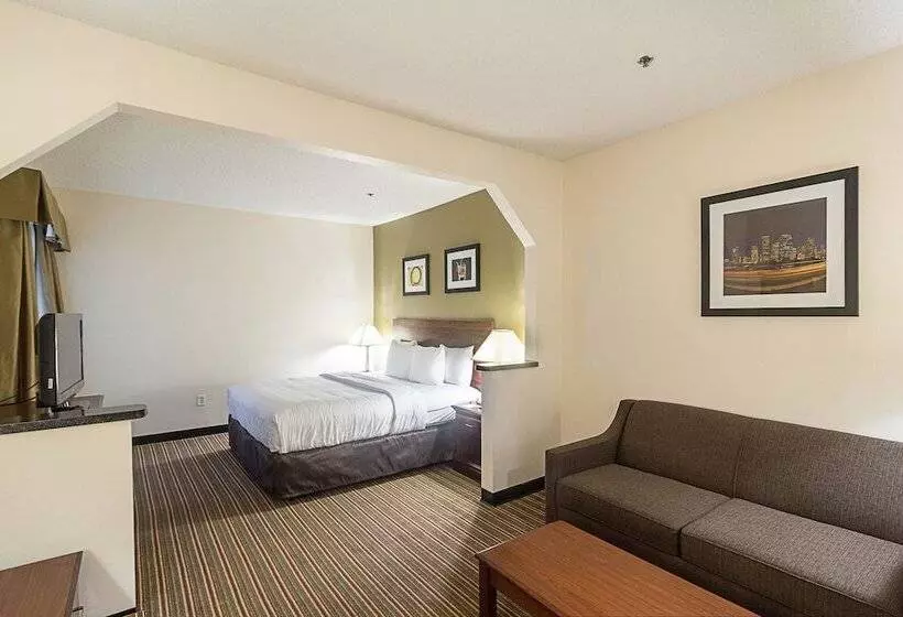 Hôtel Quality Inn & Suites West Chase