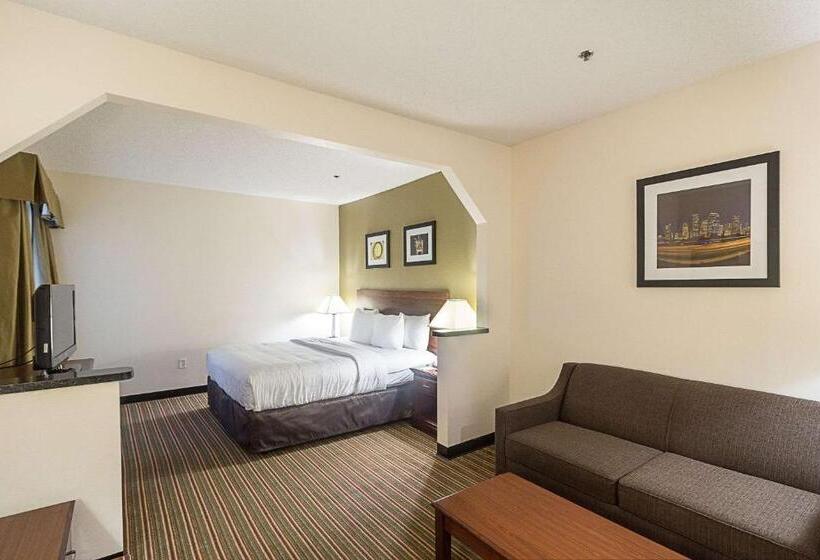 هتل Quality Inn & Suites West Chase