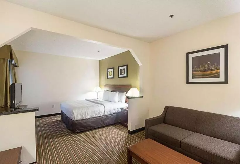 Hôtel Quality Inn & Suites West Chase