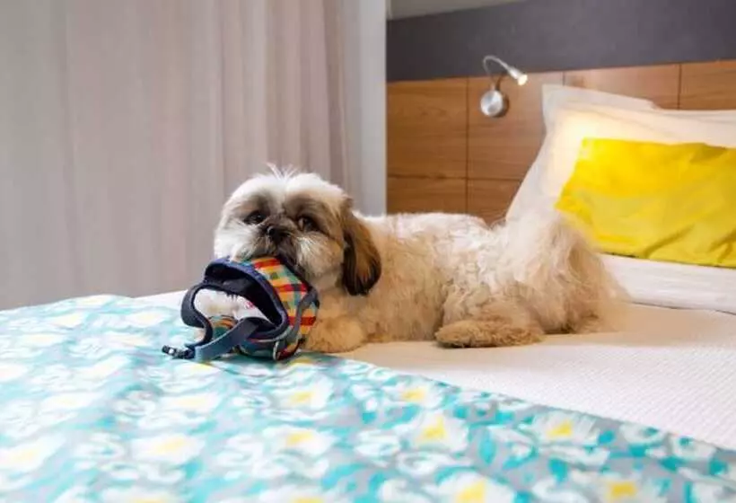 Quality Hotel Jundiaí