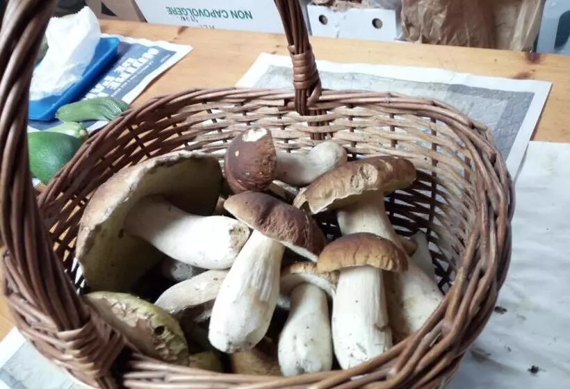 Hotelli Albergo Al Pino