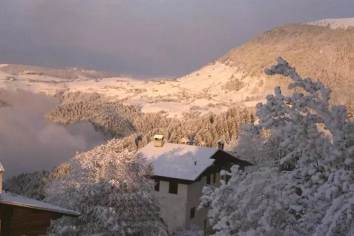 Hotelli Albergo Al Pino