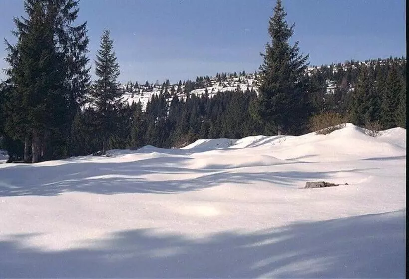 Hotelli Albergo Al Pino