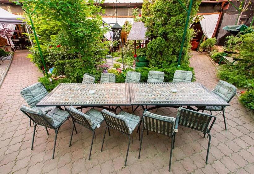 호텔 Roxy & Maryo  Restaurant  Terasa  Loc De Joaca Pentru Copii  Parcare Gratuita