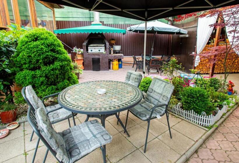 호텔 Roxy & Maryo  Restaurant  Terasa  Loc De Joaca Pentru Copii  Parcare Gratuita