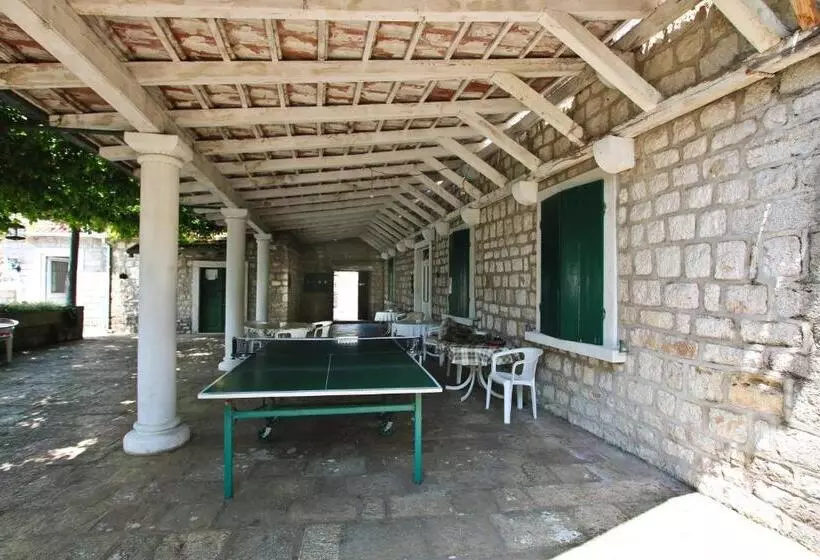 پانسیون Guest House Saga