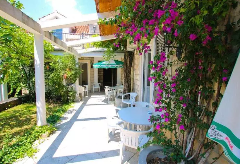 پانسیون Guest House Saga