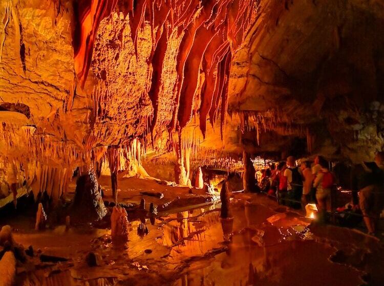 Pensionat Magnifique Gîte En Pierres 6 Personnes Avec Piscine Privée Ardèche Plein Sud