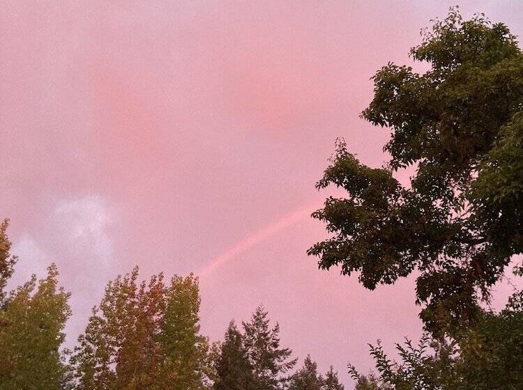 簡易ホテル The Stavrand Russian River Valley