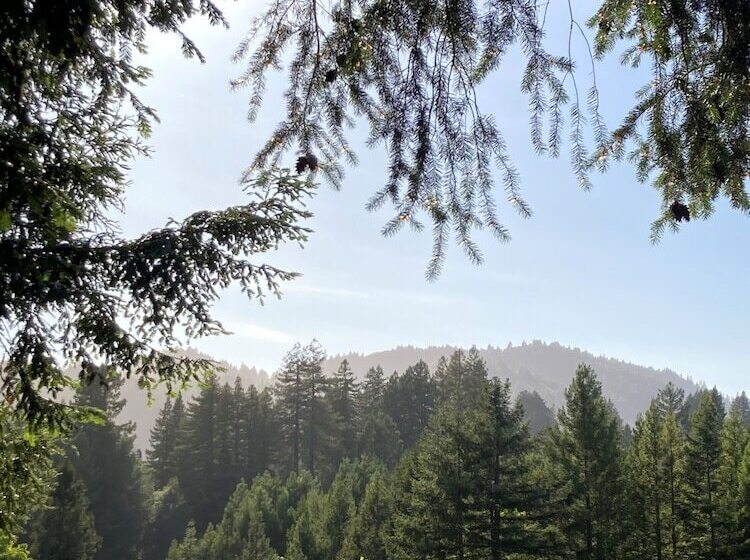 簡易ホテル The Stavrand Russian River Valley