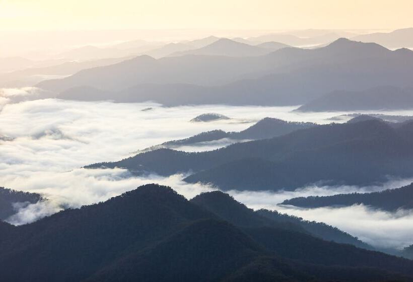 فندق Yaraandoo Family Area Rooms