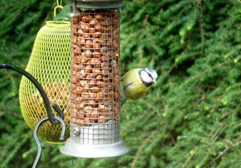 Burn How Garden Hotel Bowness On Windermere