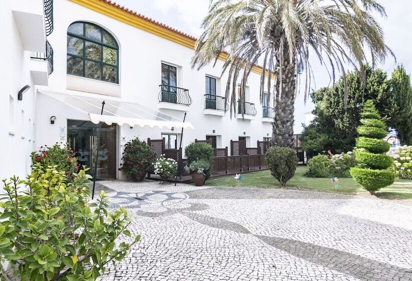 Отель Dom Vasco