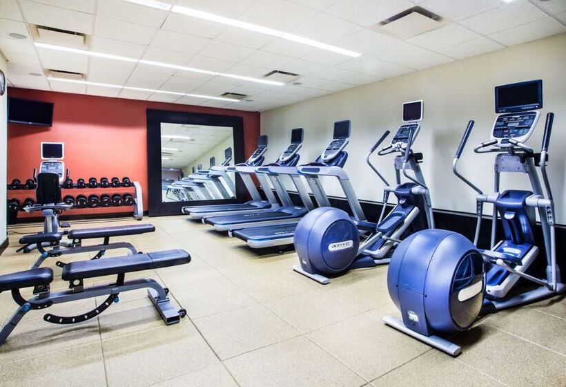 酒店 Hilton Garden Inn New York/west 35th Street