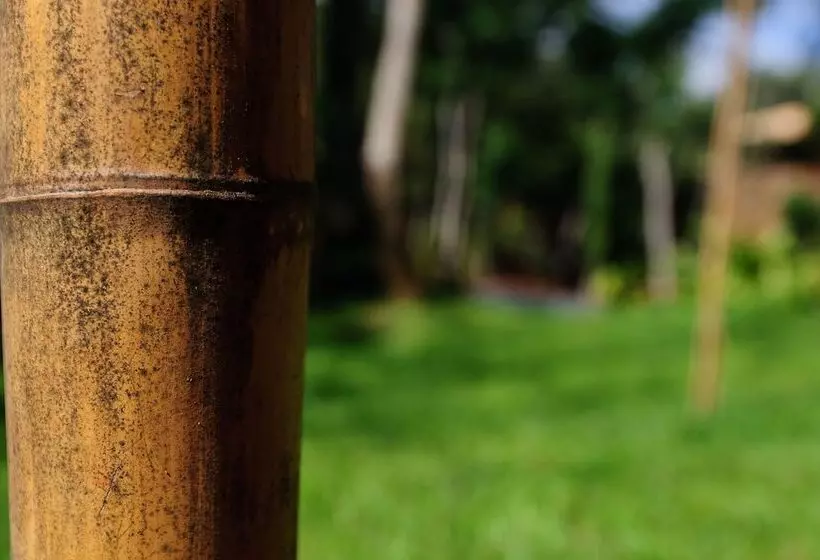 Отель Loi Suites Iguazu