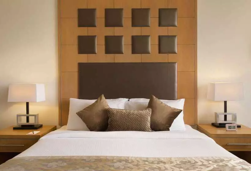 ホテル Ramada Plaza By Wyndham Jhv Varanasi