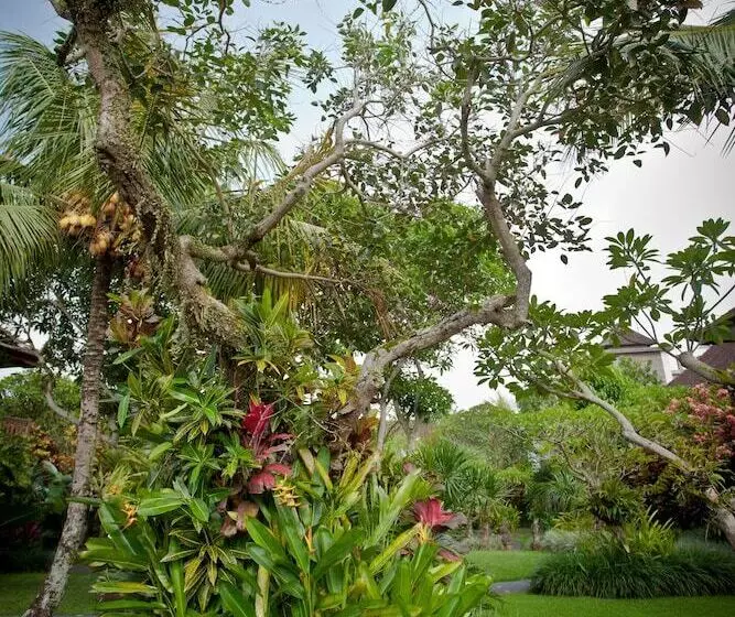 酒店 Sri Ratih Cottages, Chse Certified