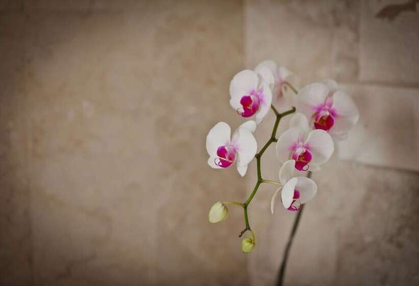 فندق Sri Ratih Cottages, Chse Certified