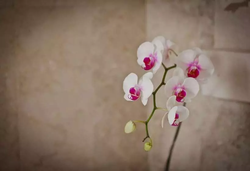 酒店 Sri Ratih Cottages, Chse Certified