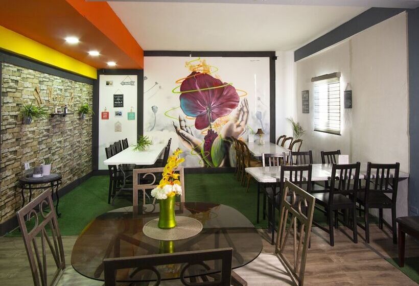 酒店 Rose Ensenada