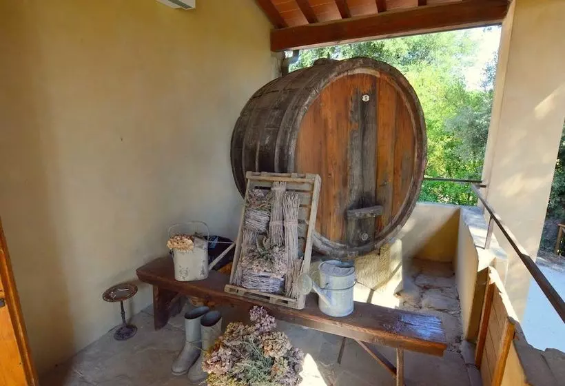 Peaceful Cottage In San Donato In Collina With Swimming Pool